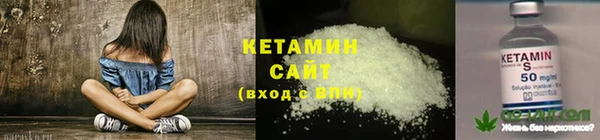 стаф Арсеньев
