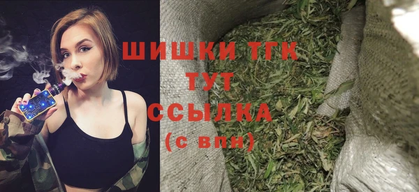 стаф Арсеньев