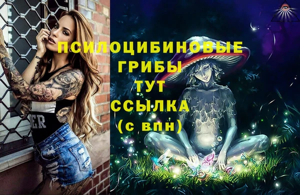 спайс Алзамай