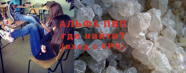 стаф Арсеньев