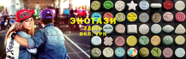 индика Щигры