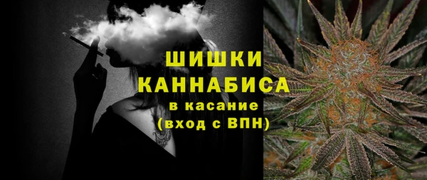 стаф Арсеньев