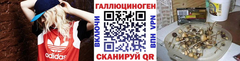 Галлюциногенные грибы прущие грибы Купить где Кировград